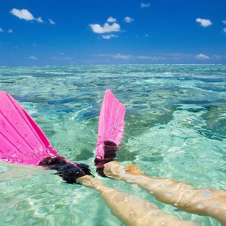 208 Mariners Club Key Largo Apartamento